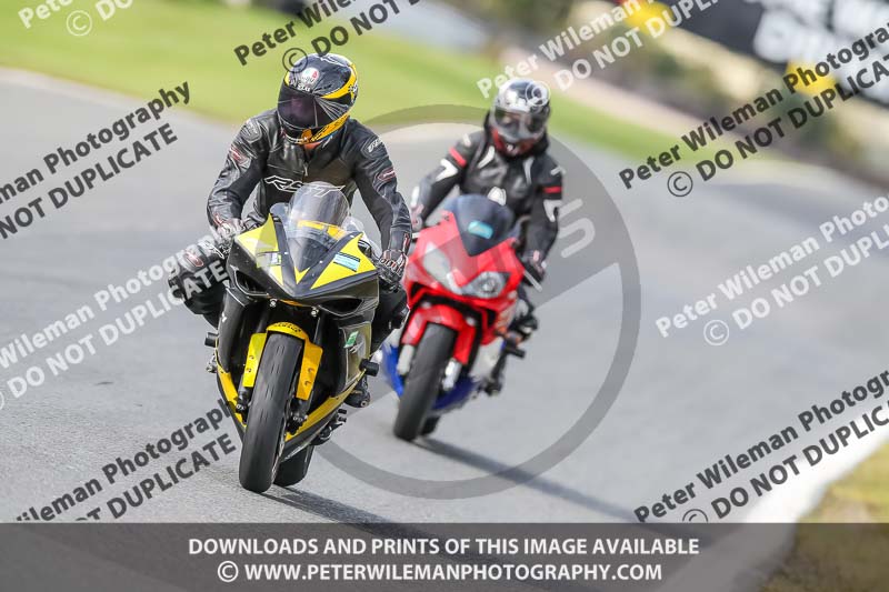 Oulton Park 21st March 2020;PJ Motorsport Photography 2020;anglesey;brands hatch;cadwell park;croft;donington park;enduro digital images;event digital images;eventdigitalimages;mallory;no limits;oulton park;peter wileman photography;racing digital images;silverstone;snetterton;trackday digital images;trackday photos;vmcc banbury run;welsh 2 day enduro